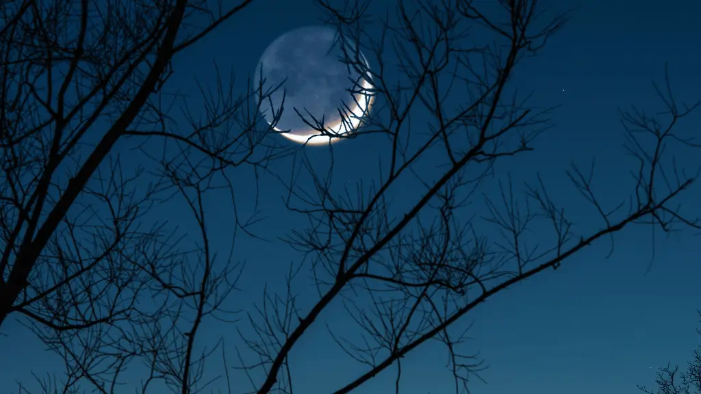 Lua Nova em Julho de 2024