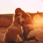 signos que são como Golden Retrievers