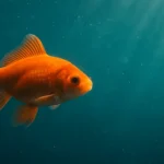 Sonhar com peixe