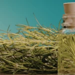 Óleo essencial de alecrim em frasco de vidro com ramos de alecrim ao fundo