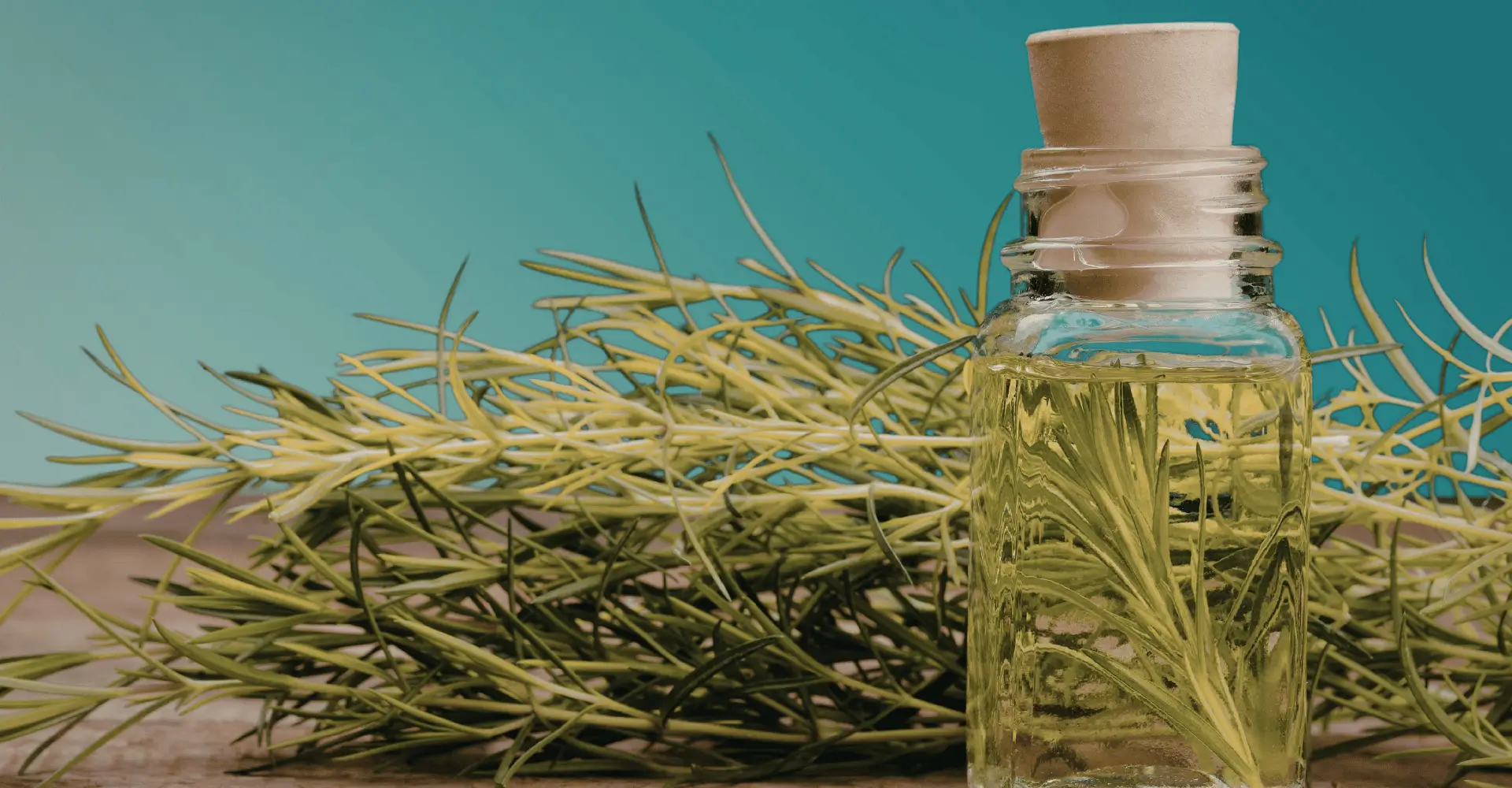 Óleo essencial de alecrim em frasco de vidro com ramos de alecrim ao fundo